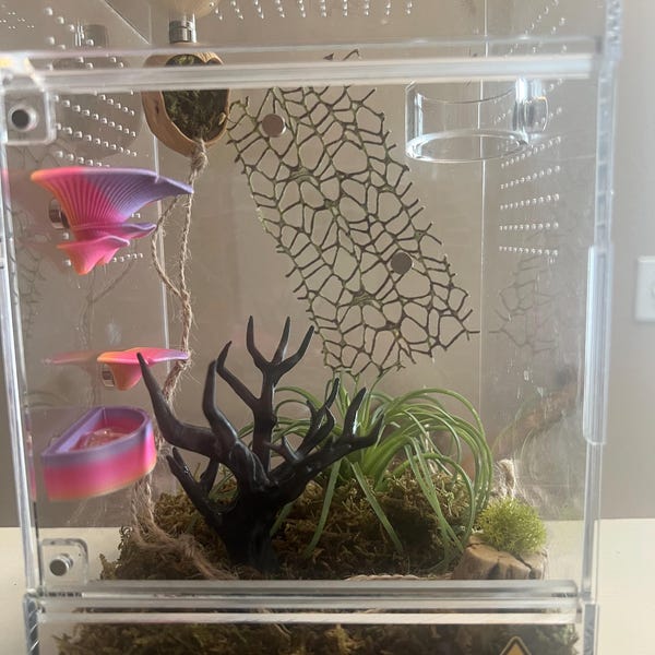 3D Universal Treehouse Insert for Jumping Spiders and Invertebrate ...