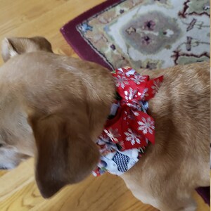 Dog Ruffle Collar Vintage Floral on Teal Dog Scrunchie - Etsy