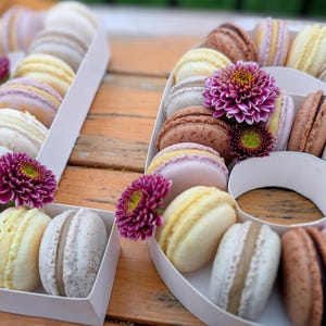 Macaron Number Boxes, Instruction Guide & Templates, Instant