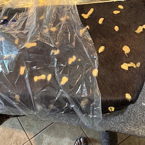 TN added a photo of their purchase