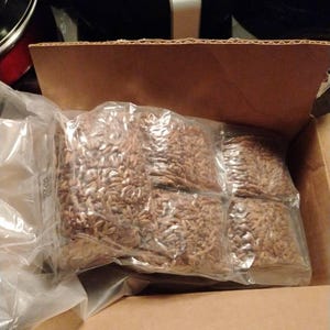 Aboriginal added a photo of their purchase