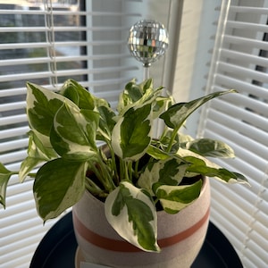 Heidi added a photo of their purchase