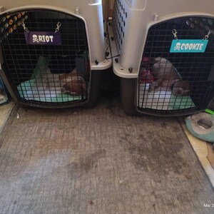 Etsy buyer added a photo of their purchase