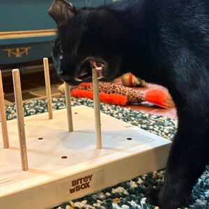 Jessa added a photo of their purchase