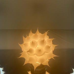 Daniel added a photo of their purchase