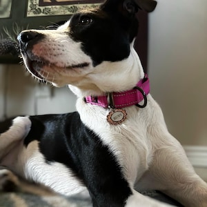 sara added a photo of their purchase