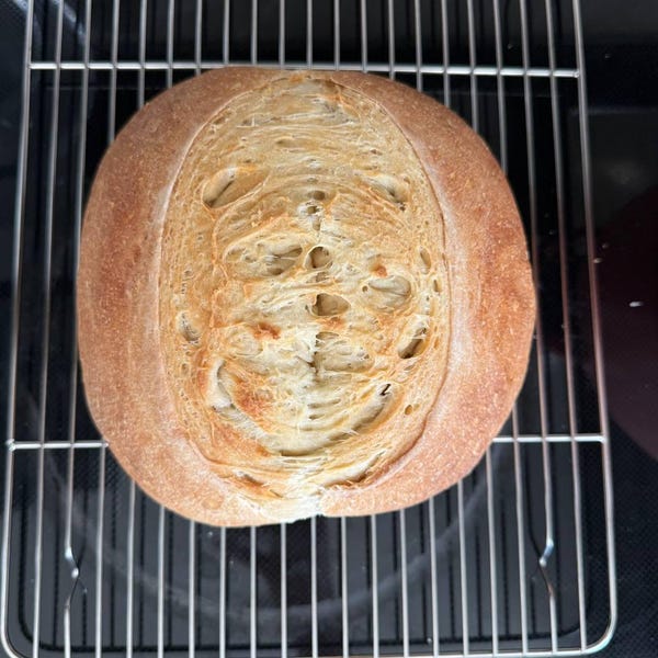 400+ Year Old Austrian Sourdough Starter! ORGANIC! - Etsy