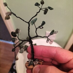 Inactive account added a photo of their purchase