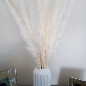 Julie added a photo of their purchase