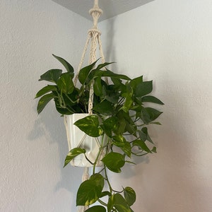 Cecily added a photo of their purchase