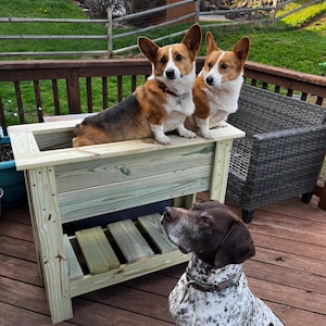 Betsy added a photo of their purchase