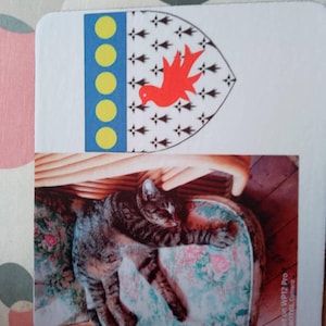 Alison adicionaram uma foto da sua compra