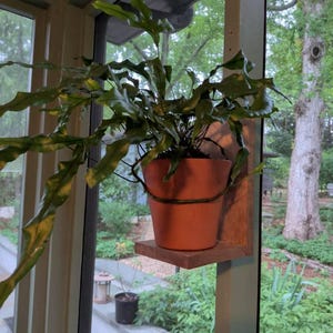 Beth added a photo of their purchase