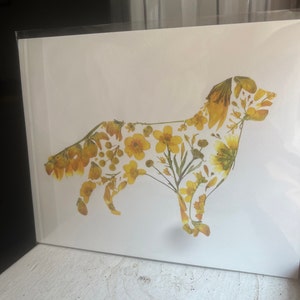 Ashley added a photo of their purchase