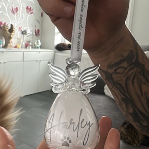 Lucy added a photo of their purchase