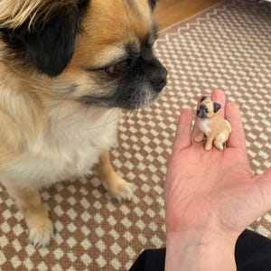 Clare added a photo of their purchase