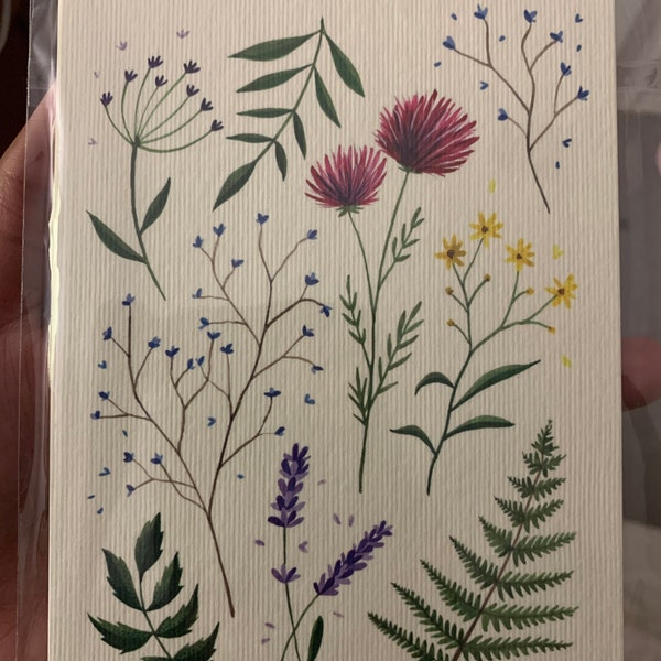 Postcard Set of 6 - Botanical Wildflowers Collection - Watercolour ...
