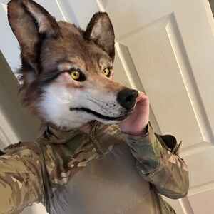 灰色オオカミのファースーツマスク。リアルなファーコスチューム