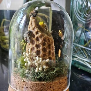 Melissa added a photo of their purchase