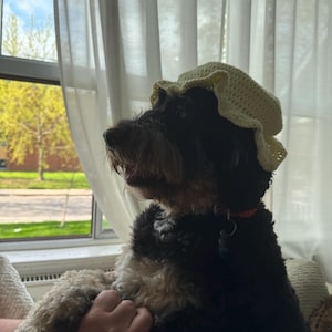 Allie added a photo of their purchase