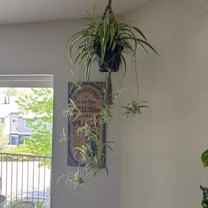 Kathleen added a photo of their purchase