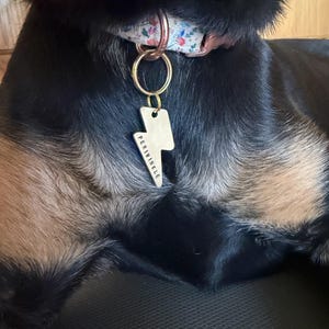 Jill added a photo of their purchase