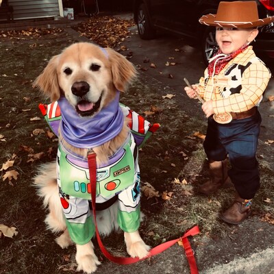 Toy Story Woody Costume 6 Piece Outfit Sheriff Woody Cowboy - Etsy