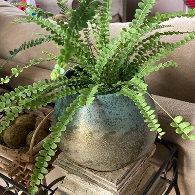 Elegance 4 In Oro Matte Hex | Tile Market Of Delaware