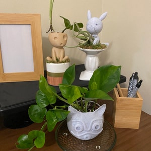 Casey ha añadido una foto de su compra