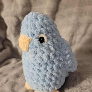 Janie added a photo of their purchase