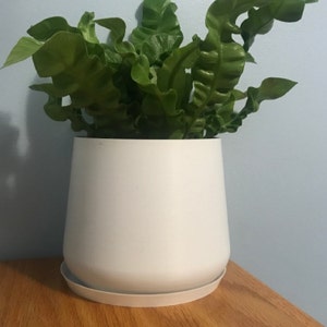 Michelle added a photo of their purchase