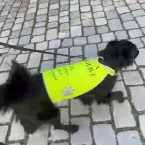 Sabine hat ein Foto des gekauften Artikels hinzugefügt