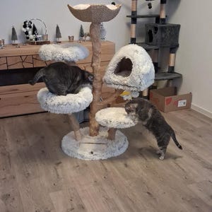 Isabelle ha añadido una foto de su compra
