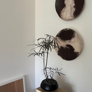 Jenny added a photo of their purchase