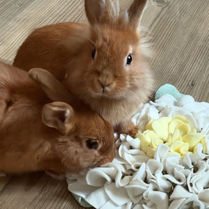 Carla ha añadido una foto de su compra