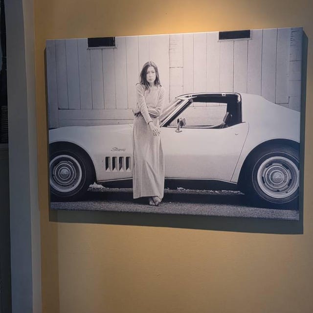 Joan Didion Poster Canvas Art Joan Didion in Front of Stingray