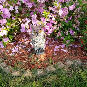 rod added a photo of their purchase