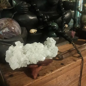 Corena added a photo of their purchase