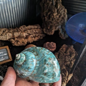 Rosie added a photo of their purchase