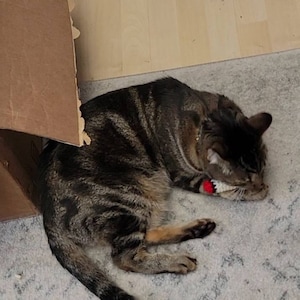 S heeft een foto van de aankoop toegevoegd