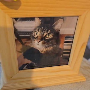 Courtney ha añadido una foto de su compra