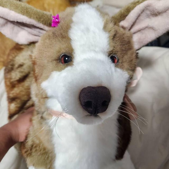 手作りの眠っているコーギーのぬいぐるみ：リアルなフェイクファーの