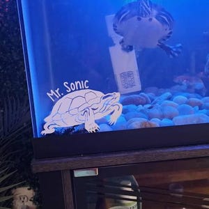 Angel added a photo of their purchase