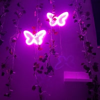 Message Me for Custom Neon Signs Butterfly Mini Neon Light Dimmer Wall ...