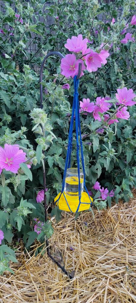 The Happy Bee Hydration Station (3D Printed)
