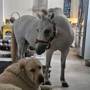 Jitka added a photo of their purchase