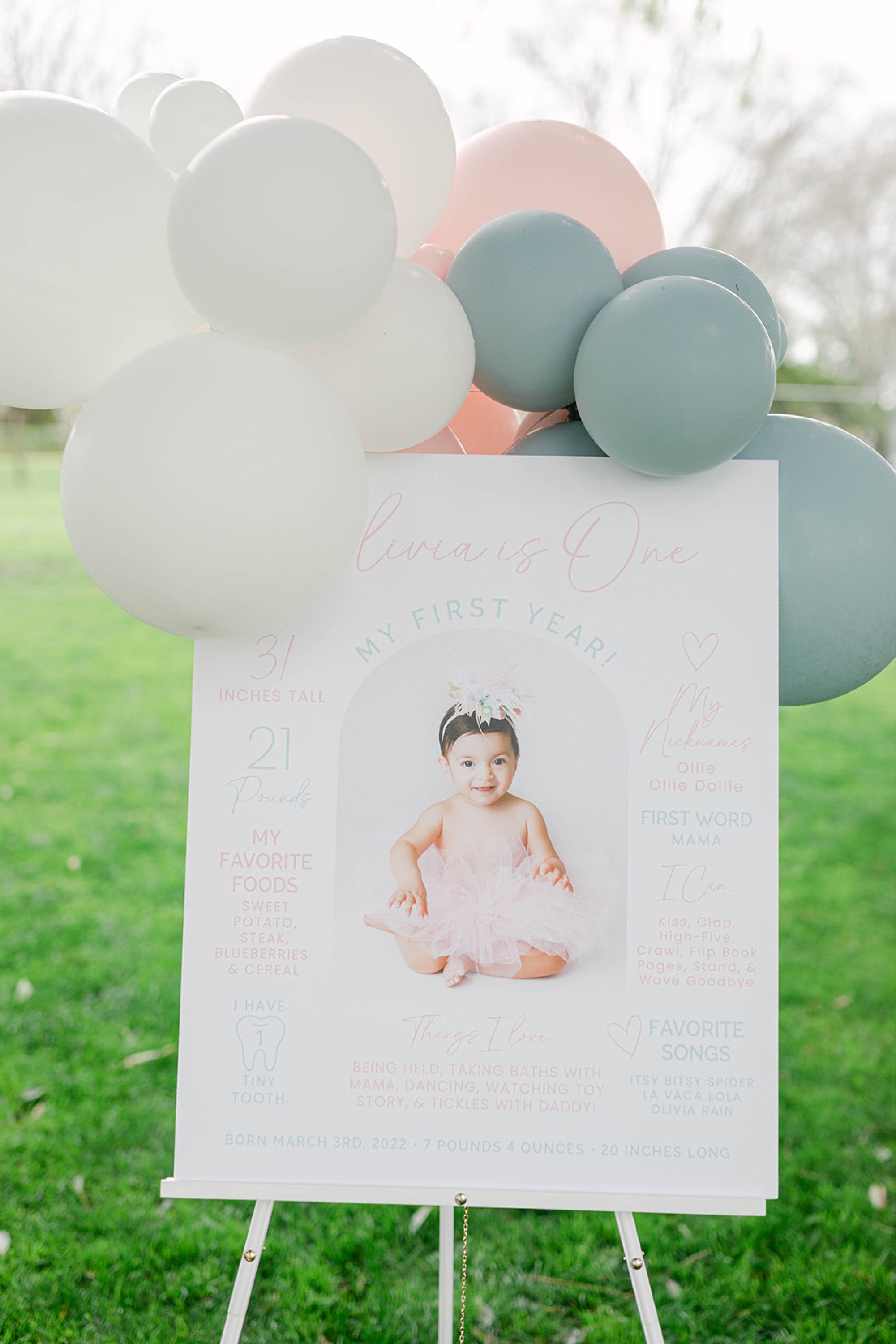 Custom Milestone 1st Birthday Poster with Pictures for Boy, My First Y –  partyrainbow