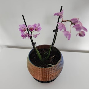 Lena さんが購入した商品の写真を追加しました