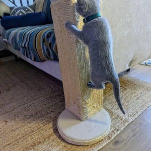 Mina added a photo of their purchase