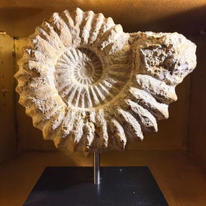 Helen added a photo of their purchase